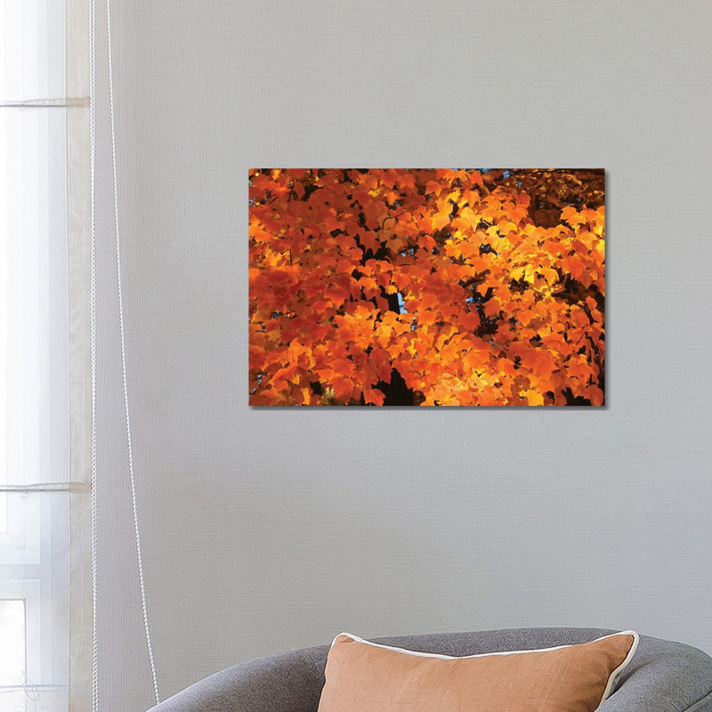 Orange 1 Piece Wrapped Canvas Wall Art, 66.04 cm H x 45.72 cm W x 3.175 cm D