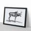 An Elk In Black And White by George Shaw - Single Picture Frame Print-55544843-55544841