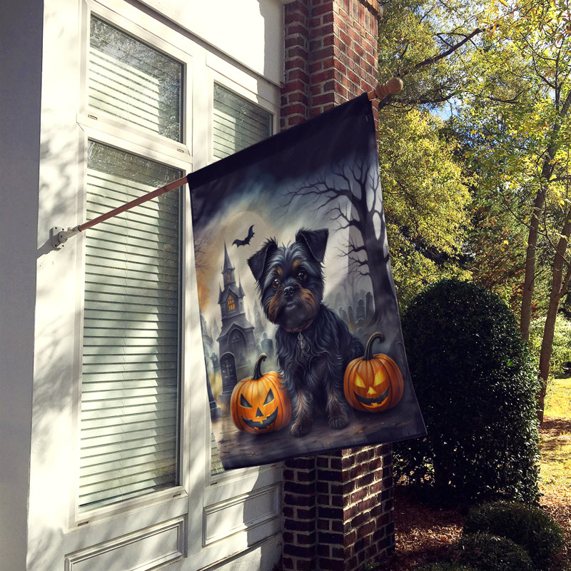 Drapeau de la maison d'Halloween Affenpinscher Spooky