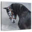 Cheval andalou gris Brampt-109214407