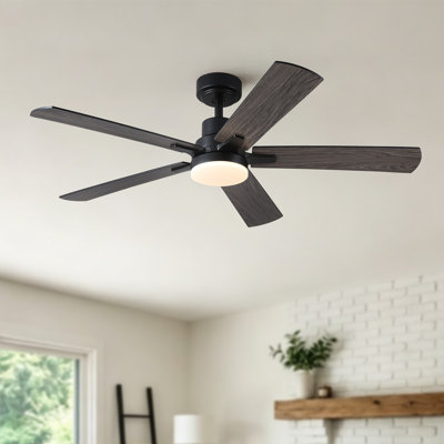 Ventilateur de plafond moderne 52 "avec lumière et télécommande 3ccct