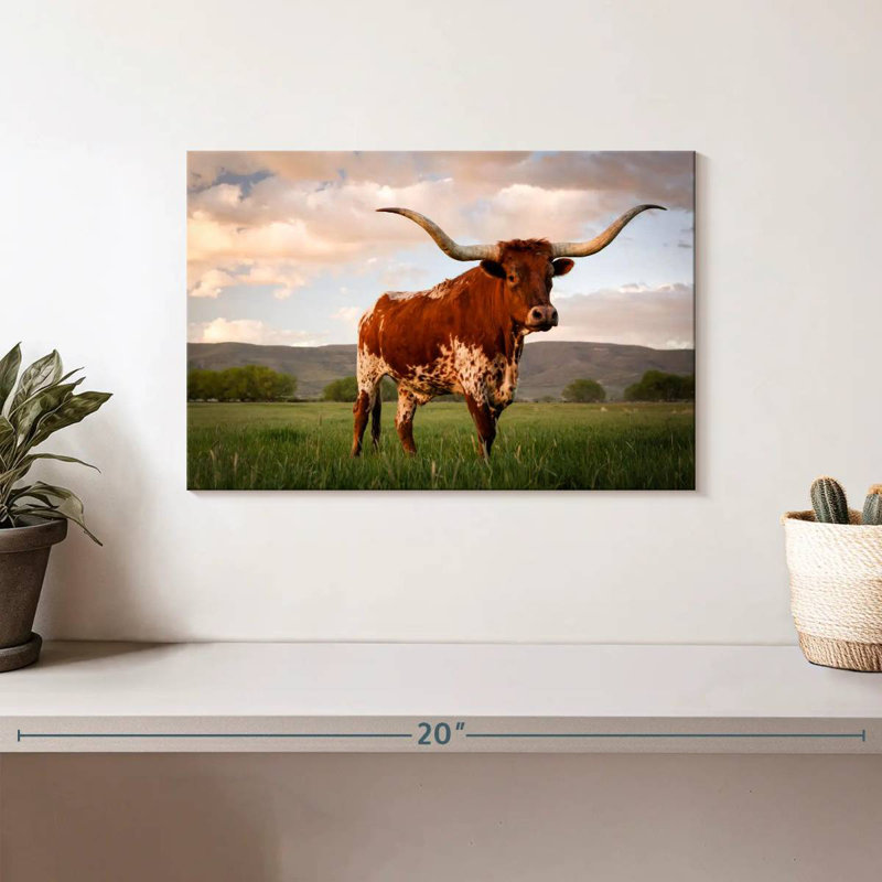 Longhorn brun du Texas, H 8 po x l 12 po
