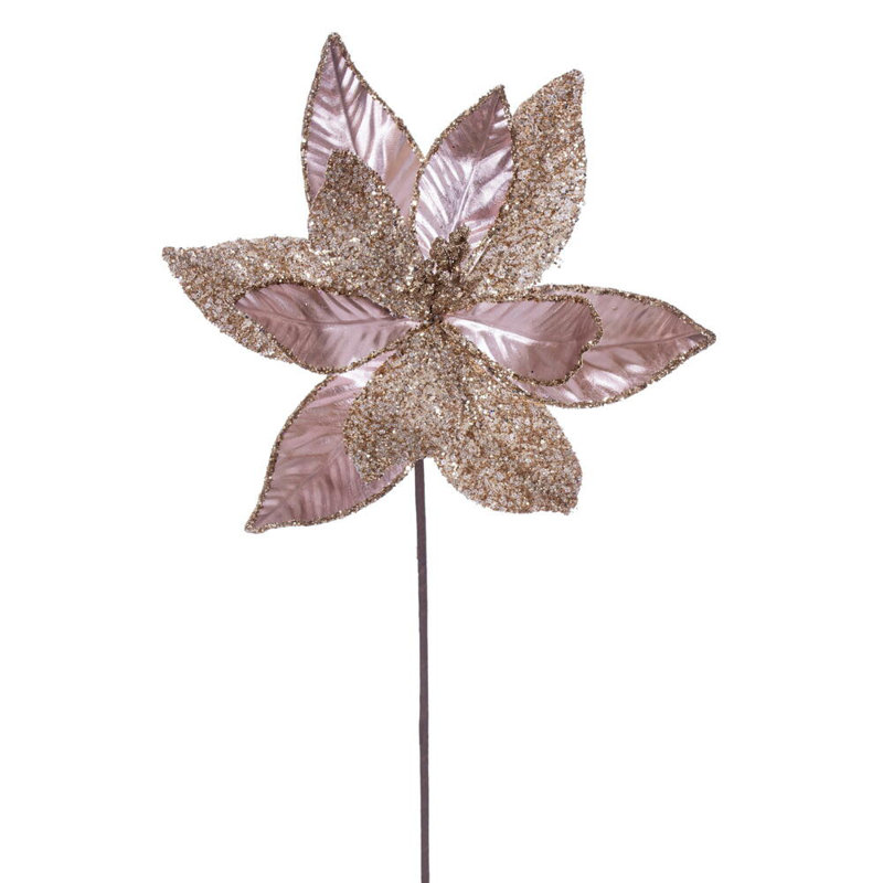 Tiges de poinsettia, Or rose
