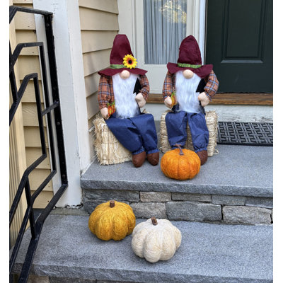 Ensemble de 2 gnomes épouvantables assis sur balles