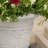 MOROCCAN URN