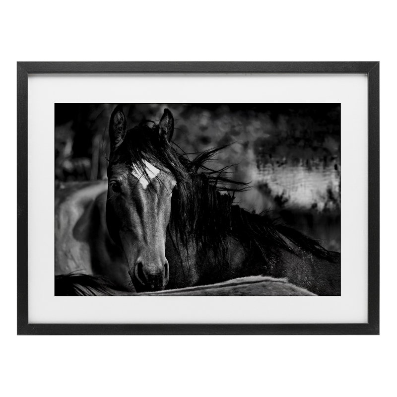 «Watchful Presence Horse», reproduction sous verre encadrée, design par Wendy Caro, H 14 po x l 20 po, Cadre noir minuit