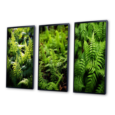«Green Fern Fond», 3 pièces sur toile