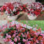 20 paquets de fleurs artificielles pour l'extérieur-1688182439