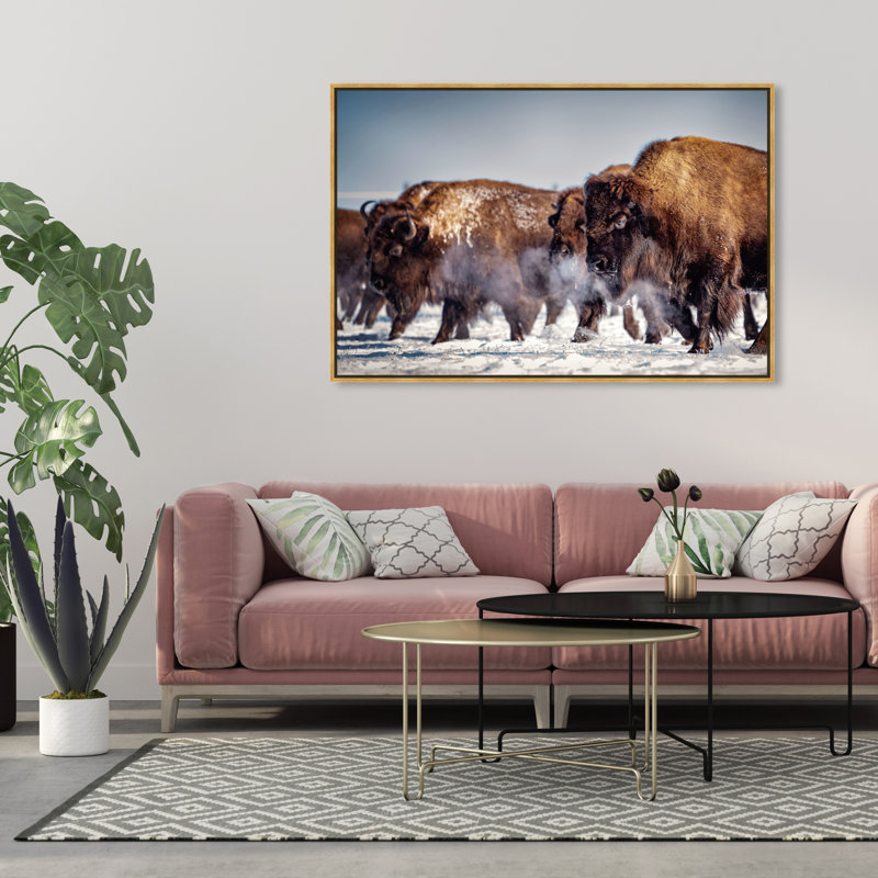 Buffalo Herd In A Snow Landscape Print, Wrapped Canvas, 36" H x 54" W