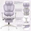 Chaise de bureau Milhollen-666893901