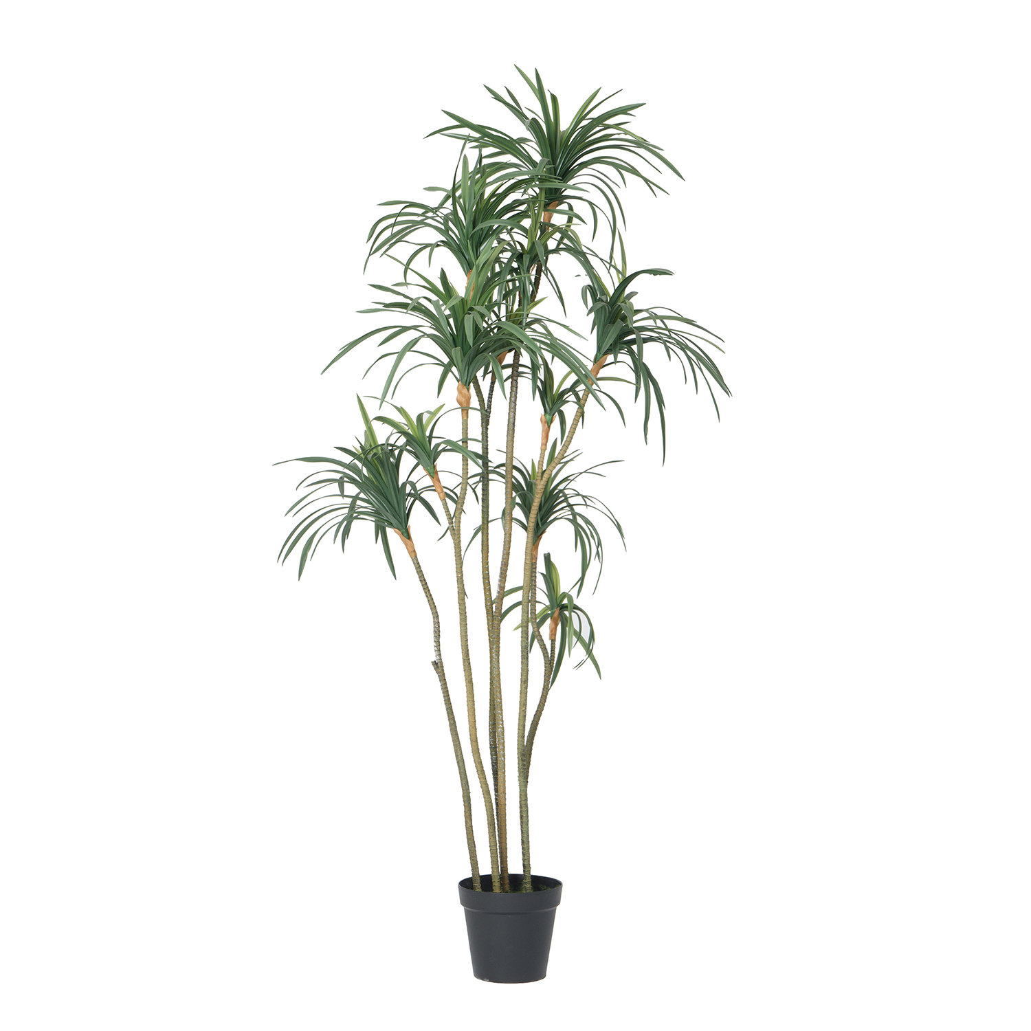 Primrue 74'' Faux Dragon Tree Tree in Planter | Wayfair