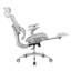 Chaise de bureau ergonomique en filet avec accoudoirs 5D et repose-pieds rétractable-133429481
