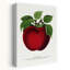 Art mural rétro Mcintosh Red Apple-1344644912