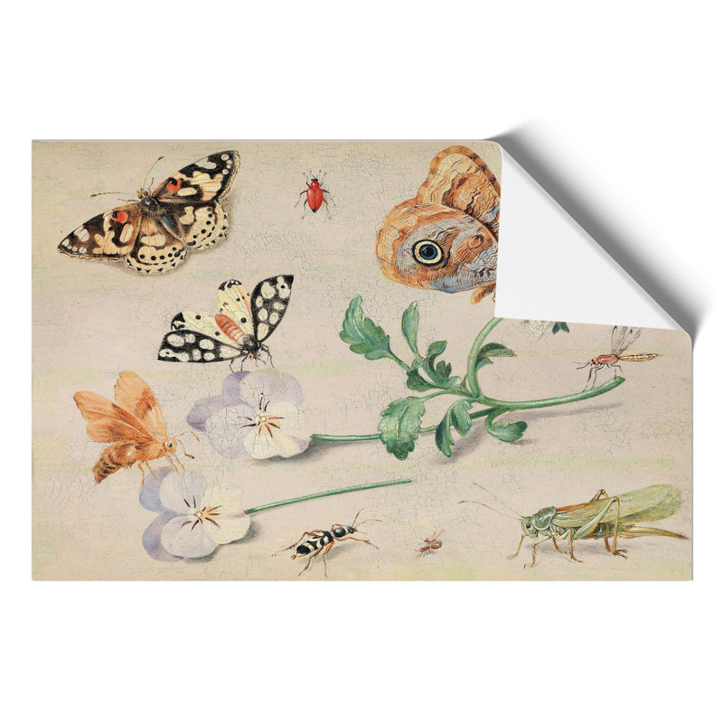 Butterflies and Insects by Jan van Kessel - Wall Art, 30cm H x 42cm W x 0.1cm D
