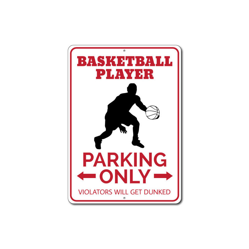 Panneau de basketball en aluminium, H 18 po x l 12 po x P 0,06 po