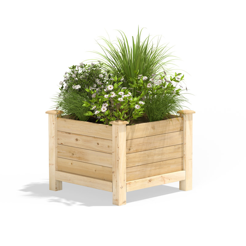 Pot à fleurs surélevé en cèdre vert original 16 po x 16 po x 17 po Greenes, H 21 po x l 24 po x P 24 po