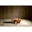 Table basse Bisbee