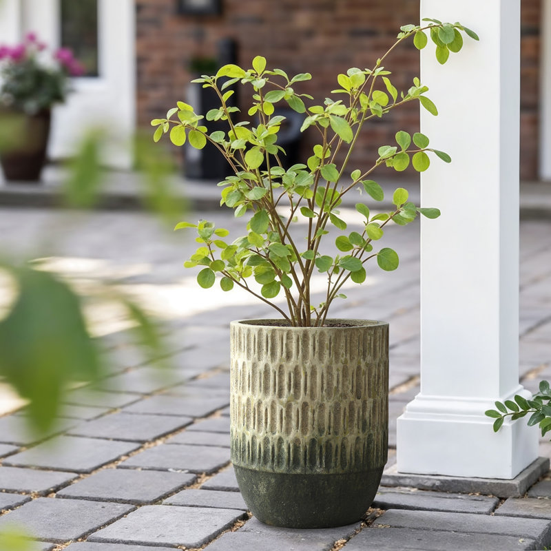 16.5'' H Two-Tone Outdoor Tall Planter, Textured Cement Plant Pot