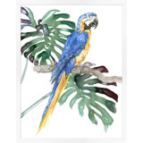 Perched Parrot 1 Print