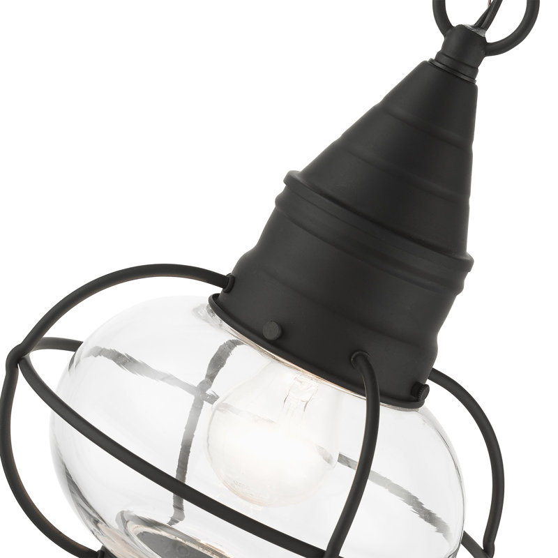 Rodolfo Outdoor Hanging Lantern, Black