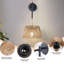 Elena Rattan Plug-in Swing Arm Sconce with Bulb Included