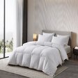 Ambesonne Microfiber Duvet Cover Set | Wayfair