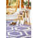 Wool Geometric Indoor Rug