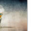 Vidur «Budgie 3», impression sur toile tendue-22074471