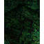 Overdyed Hand-Knotted Wool Modern-Contemporary Green Area Rug 3' 0" x 4' 10"