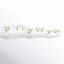 Clear Acrylic Plastic Storage with Gold Metal Hardware and Studded Details, Set of 3