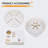 Modern Capiz Shell Crystal Chandeliers-358458655