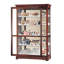 Branstetter Solid Wood Lighted Curio Cabinet
