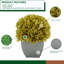 Arrangement d'hortensia en pot synthétique-1553681574-1488260805