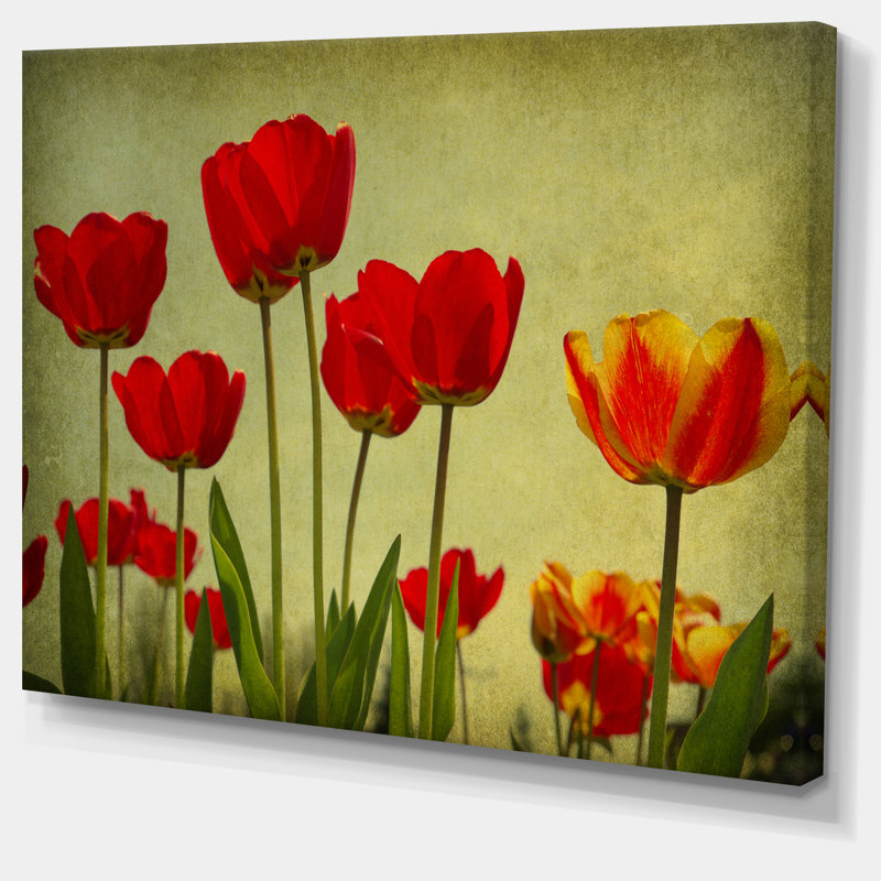 Fleurs grunge - reproduction de photo sur toile tendue, H 16 po x l 32 po