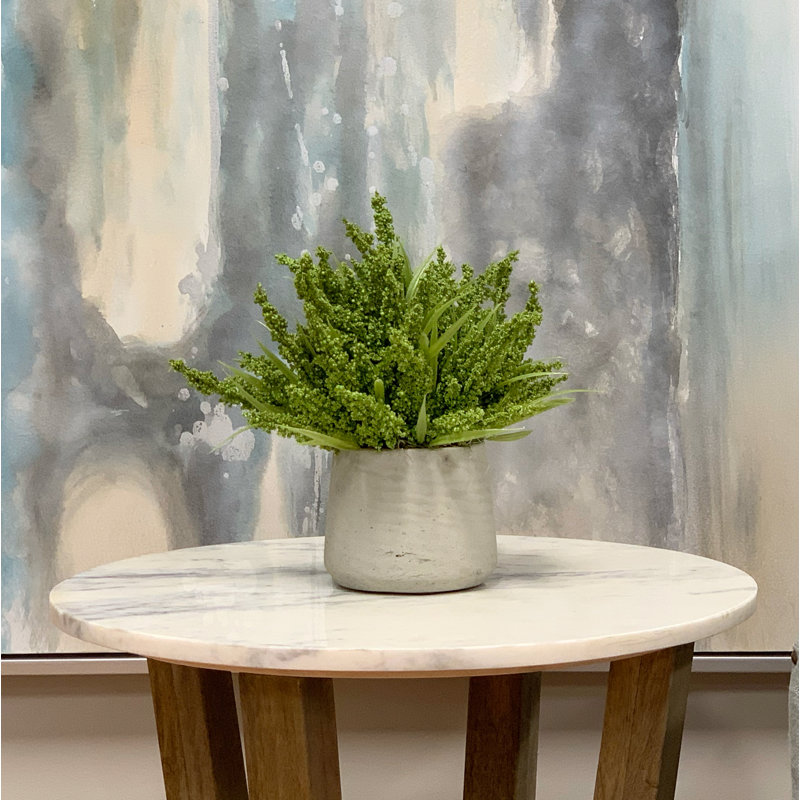 Ferdinand Heather en pot, Vert