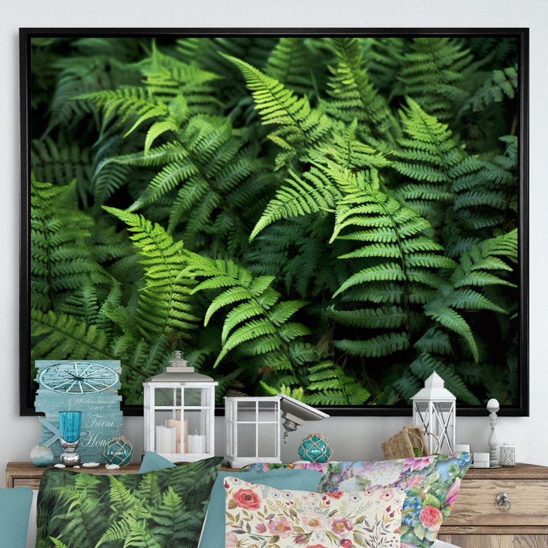 «Green Fern Scenery I» sur toile, H 34 po x l 44 po x P 1,5 po, Cadre flottant noir