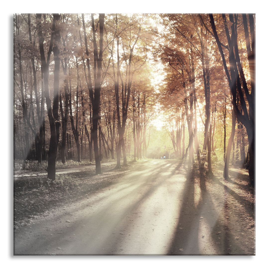 Glasbild Allee im Herbstlicht