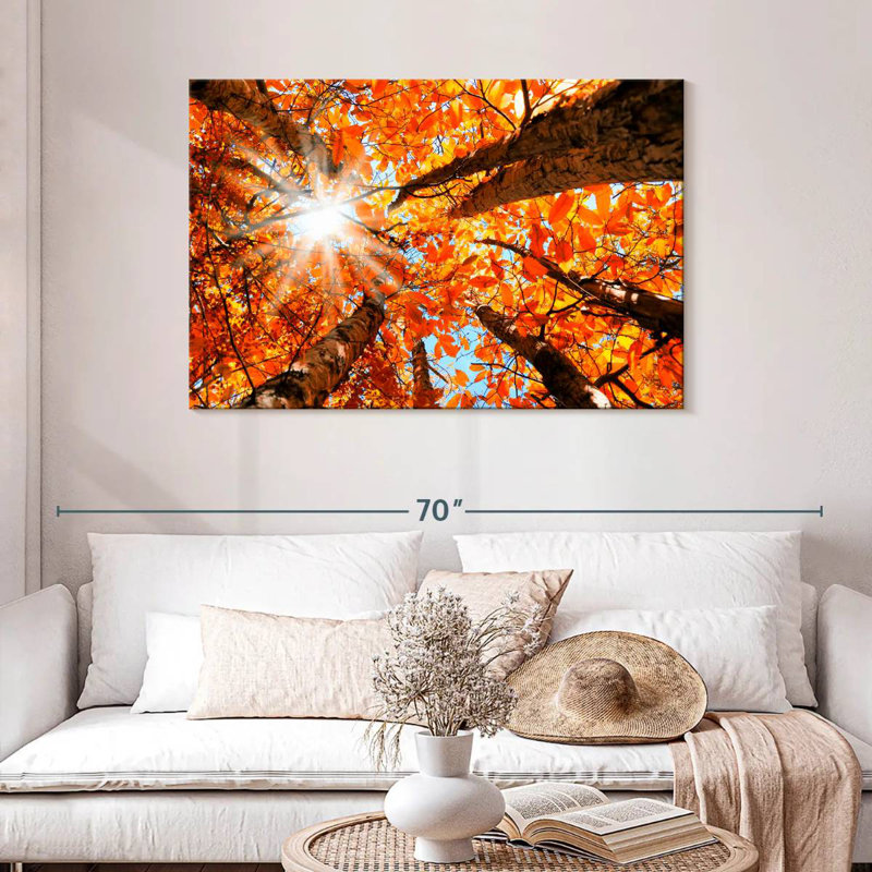 Alvord Sequoia Forest Fall