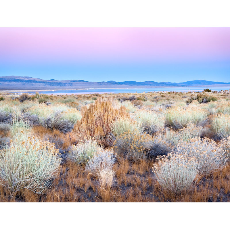 Mono Lake Twilight avec Rabbitbush par Bruce Heinemann, H 25 po x l 33 po, Toile avec cadre noir