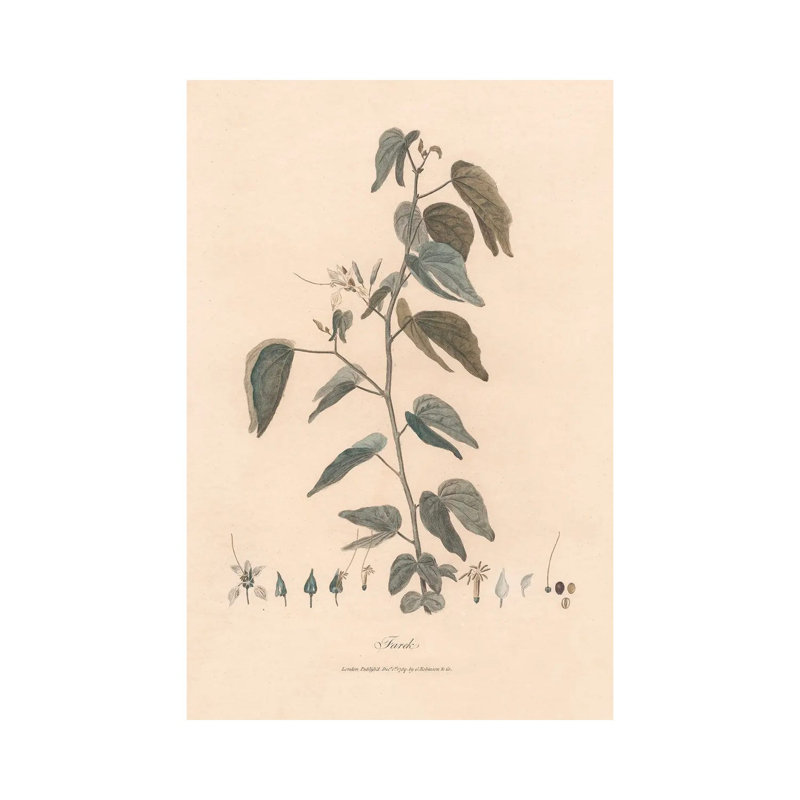 Print, 101.6 cm H x 66.04cm W x 1.905cm D, Does Not Apply