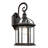 Roscoe 15.38" H Outdoor Wall Lantern-1508953023