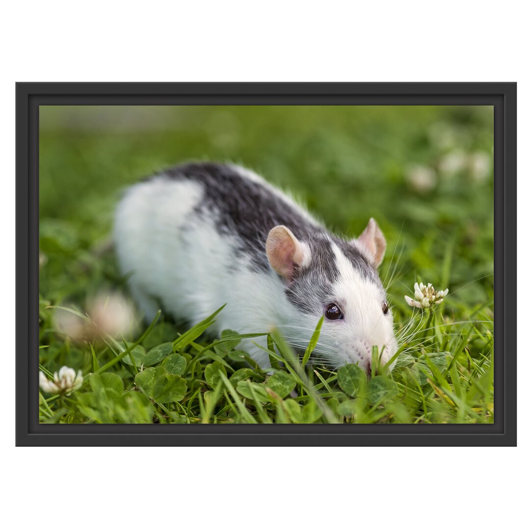 Gerahmtes Wandbild kleine Maus auf Blumenwiese