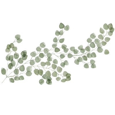Adhésif décoratif eucalyptus