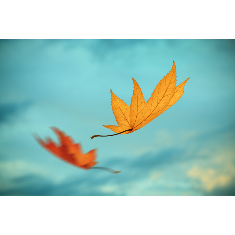 Falling - Wrapped Canvas Print