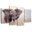 Jeune éléphant de savane-314103573