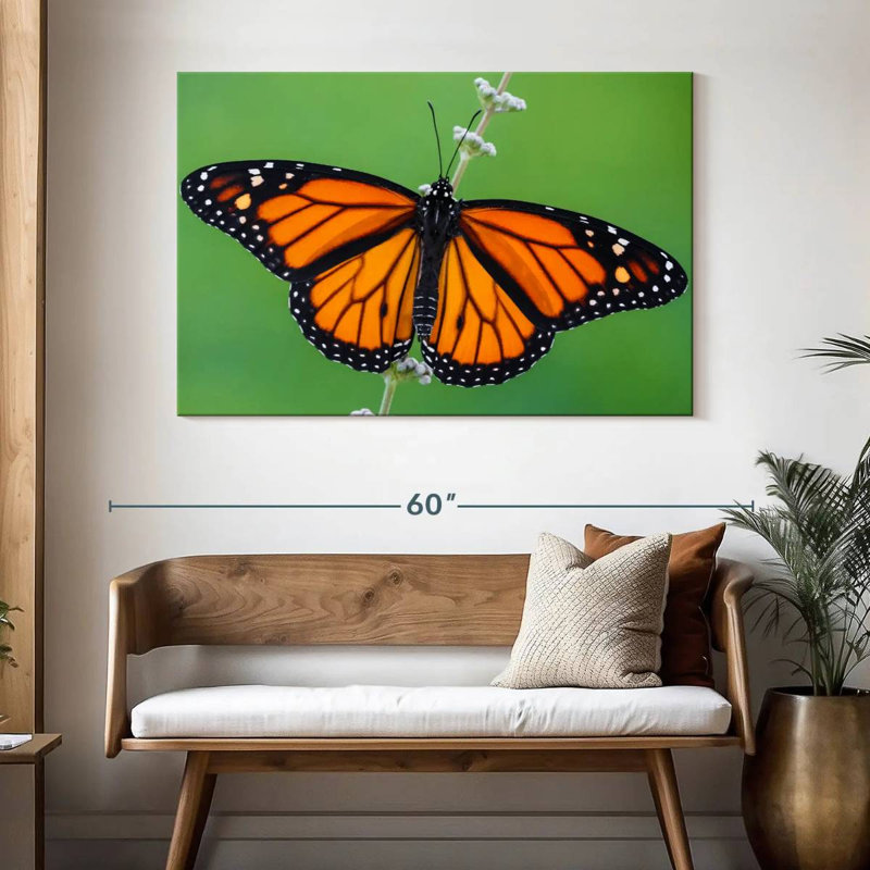 Joli papillon monarque, H 32 po x l 48 po