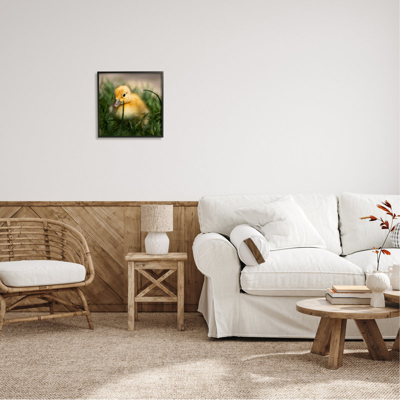 «Baby Duckling In Grass», photographie encadrée sur bois par Lil 'Rue, H 17 po x l 17 po x P 1,5 po