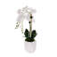 Real Touch Phalaenopsis Orchids in White Dimensional Pot-1195572953
