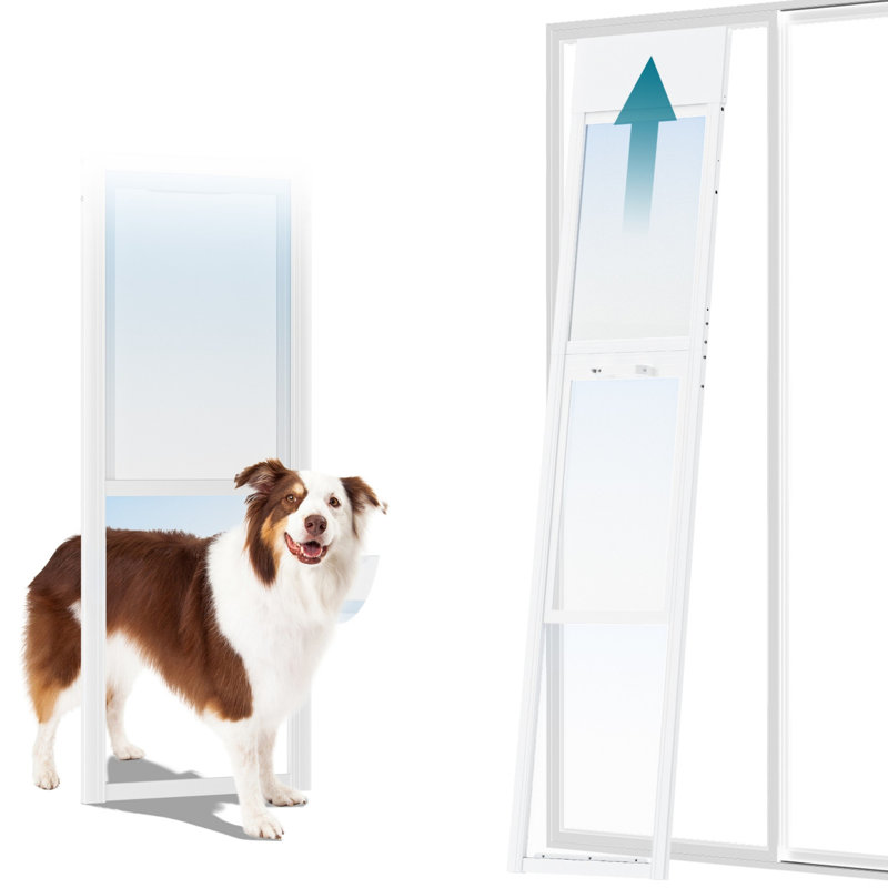 Porte coulissante réglable pour animaux | Installation sans outil en 5 minutes | Joint magnétique écoénergétique | Taille M