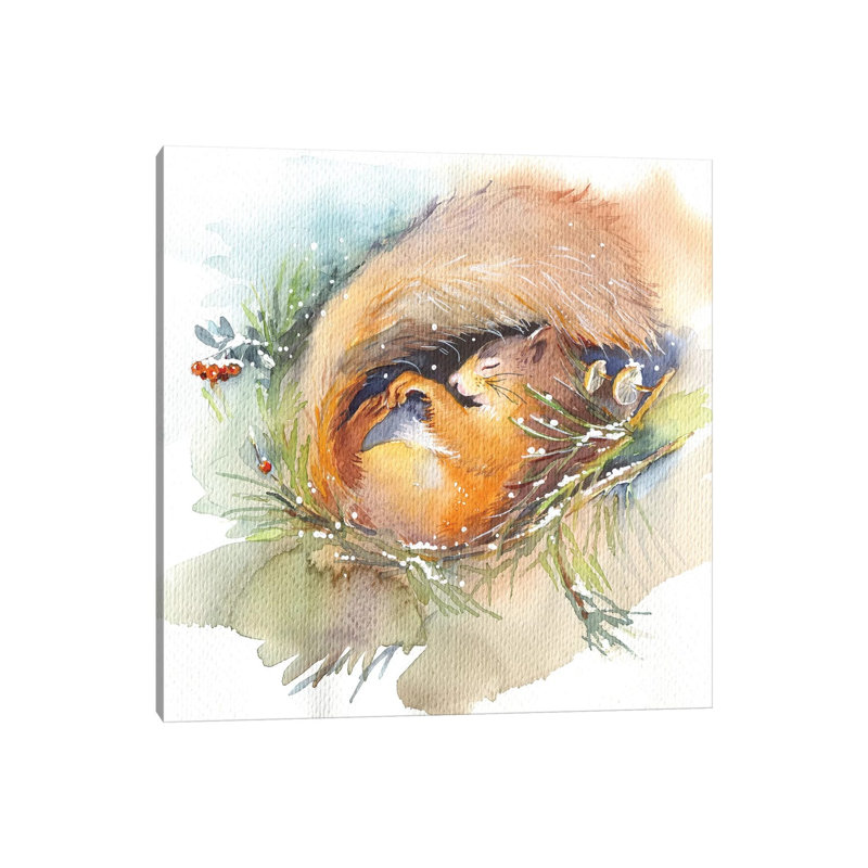 Sleeping Squirrel 1 Piece Wrapped Canvas Painting, 66.04 cm H x 66.04 cm W x 3.175 cm D